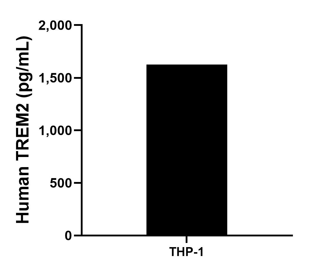THP-1 cells (3 x 10^6 cells/mL) were cultured in RPMI with 10% fetal bovine serum, 50 μM β-mercaptoethanol, 2 mM L-glutamine, 100 U/mL penicillin, and 100 μg/mL streptomycin sulfate. Aliquots of the cell culture supernatants were removed and assayed for levels of human TREM2 and measured 1,626.6 pg/mL.